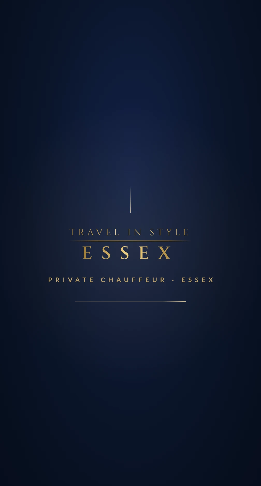 Travel in Style Essex brand identity — gold wordmark on navy